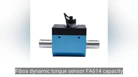 Fa613 200n. M Dynamic Shaft Rotary Torque Sensor 