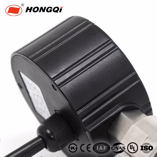 High Quality Digital Temperature Pressure Gauge Temperature Controller