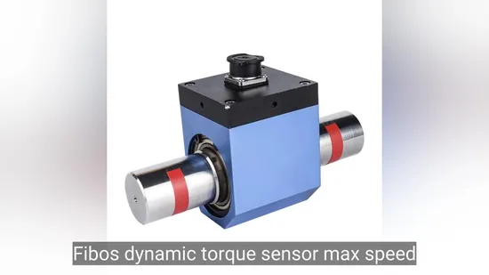 200, 500nm Dynamic Rotary Torque Sensor 