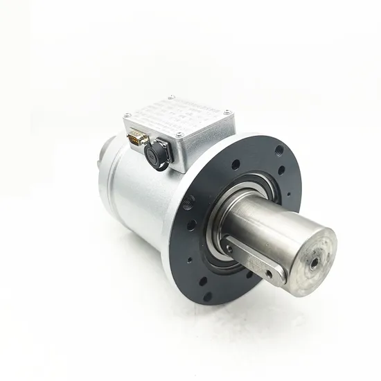 Hot Sale! New Design Dynamic Torque Sensor 5000nm Hub Motor (BTQ